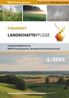Cover: Fokusheft: Landschaftspflege: Programmbegleitung des BMU-Förderprogramms {\textquotedbl}Energetische Biomassenutzung{\textquotedbl}