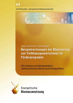 Cover: Beispielrechnungen der Bilanzierung von Treibhausgasemissionen im Förderprogramm: Addendum Zum Methodenhandbuch: »Stoffstromorientierte Bilanzierung der Klimagaseffekte«