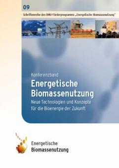 Cover: Konferenzband Energetische Biomassenutzung: Neue Technologien und Konzepte für die Bioenergie der Zukunft: 05. - 06. November 2012