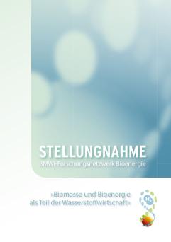 Cover: Stellungsnahme: Biomasse und Bioenergie als Teil der Wasserstoffwirtschaft