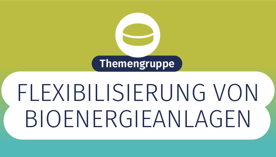 Themengruppe Flexibilisierung von Bioenergieanlagen