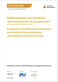 Cover Stellungnahme zum Grünbuch “Ein Strommarkt für die Energiewende“ des BMWi: Perspektiven der Biomasseverstromung aus Sicht des Förderprogramms „Energetische Biomassenutzung“