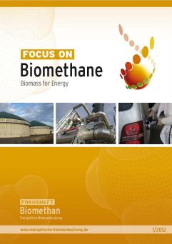 Cover: Focus on: Biomethane: Biomass for Energy