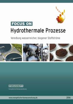 Cover: Focus on: Hydrothermale Prozesse: Veredlung wasserreicher, biogener Stoffströme