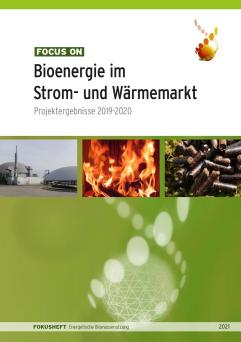 Cover: Focus on: Bioenergie im Strom- und Wärmemarkt: Projektergebnisse 2019-2020