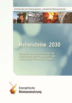 Cover: Meilensteine 2030: Elemente und Meilensteine für die Entwicklung einer tragfähigen und nachhaltigen Bioenergiestrategie