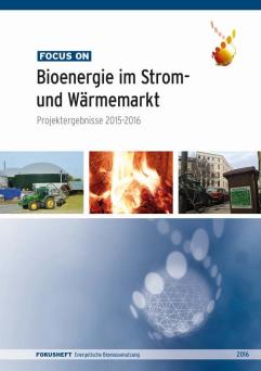 Cover: Focus on: Bioenergie im Strom- und Wärmemarkt: Projektergebnisse 2015-2016