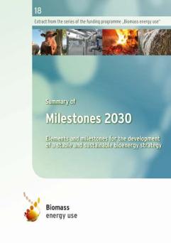 Cover: Milestones 2030 (Summary of the German report): Elements and milestones for the development of a stable and sustainable bioenergy strategy