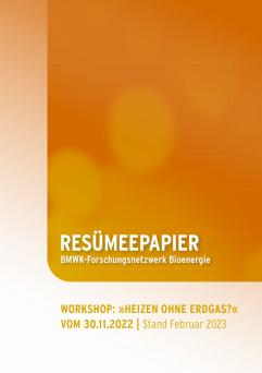 Cover: Resümeepapier – Workshop "Heizen ohne Erdgas?"