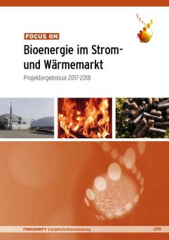Cover: Focus on: Bioenergie im Strom- und Wärmemarkt: Projektergebnisse 2017-2018