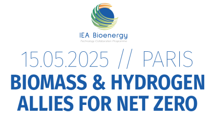 Biomasse und Wasserstoff Workshop am 15. Mai 2025