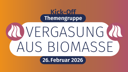 Kick-Off der Themengruppe: Vergasung von Biomasse