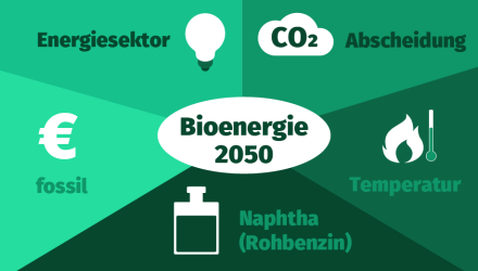 Biomasse in der Bioenergie im Jahr 2025