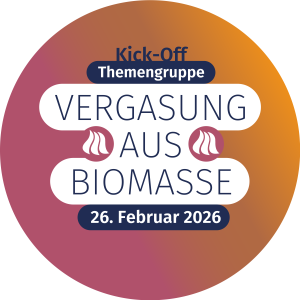 Kick-Off der Themengruppe: Vergasung von Biomasse